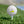 Load image into Gallery viewer, Masters of Kentucky Golf Balls (6 Pack)
