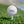 Load image into Gallery viewer, Y&#39;ALL Golf Balls (6 Pack)
